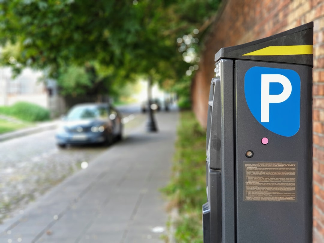 Photo automatic parking system
